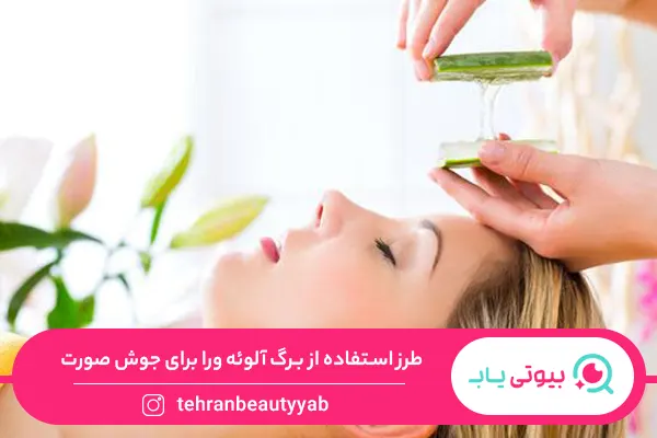 خواص آلوئه ورا برای جوش صورت