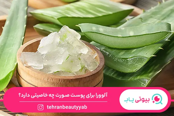 خواص آلوورا برای پوست صورت