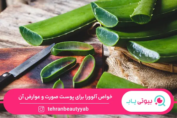 خواص آلوورا برای پوست صورت