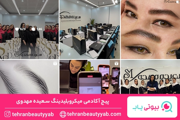 آموزش میکرو بلیدینگ در غرب تهران