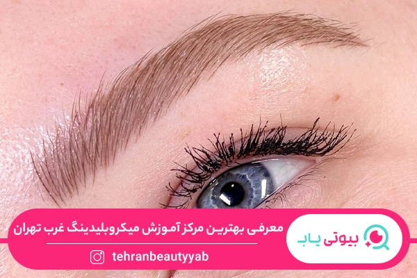 آموزش میکرو بلیدینگ در غرب تهران