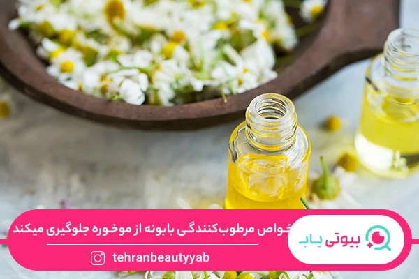 خواص بابونه برای مو