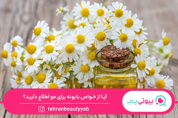 خواص بابونه برای مو