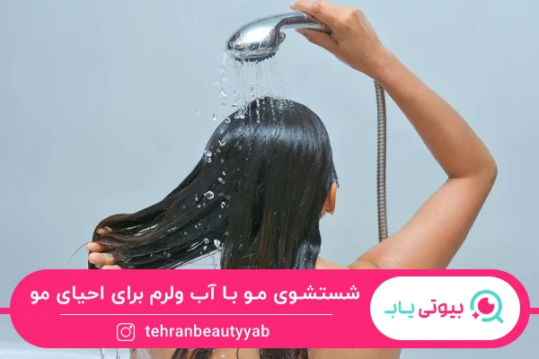 احیای موی آسیب دیده در منزل