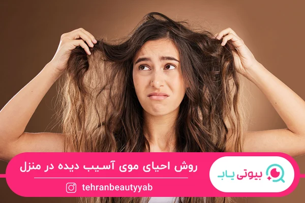 احیای موی آسیب دیده در منزل