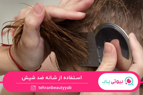 روش های درمان خانگی شپش سر