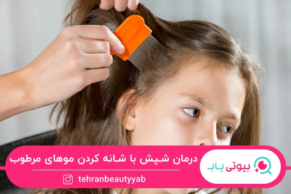 روش های درمان خانگی شپش سر
