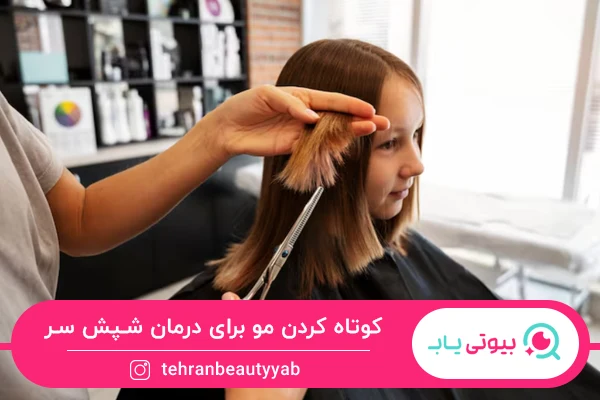 روش های درمان خانگی شپش سر