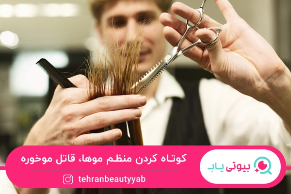 کوتاهی مو؛ راهکار درمان خانگی موخوره