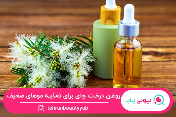 کمک به تغذیه مو از خواص روغن درخت چای برای مو است.
